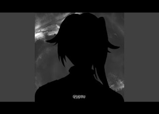  Shadow