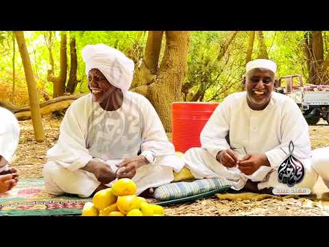 قصة عمنا ودالمرضي في الاغتراب السعوديه قصة عمنا ودالمرضي في الاغتراب السعوديه