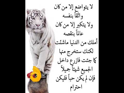 ازرع الاحترام