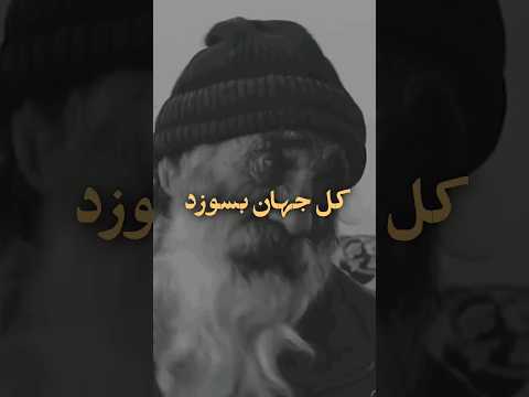 شعر زیبا مرد افغانی