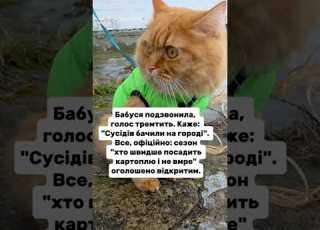  Сезон гуморукраїна відеодня веселівідео кітблогер війнавукраїні