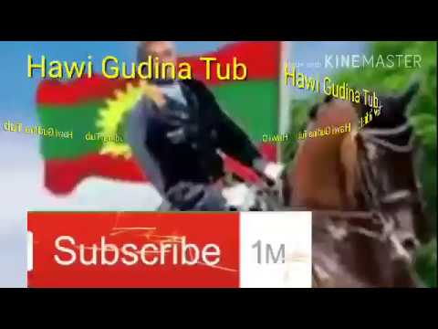 Nashidda Barreddu Aliyyi Sabit 2018itti Gammadda