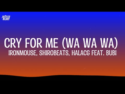 Cry For Me WA WA WA Feat Bubi IRONMOUSE Lyrics