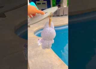  WHO DID THIS TO MY LABUBU Labubu Funny Cute Trend Silly Omg Prank Viral Toys