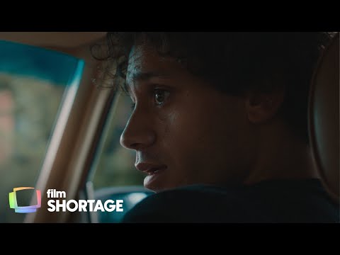 Ghazi Drama A Stolen Dog A Broken Dream And One Life Changing Choice