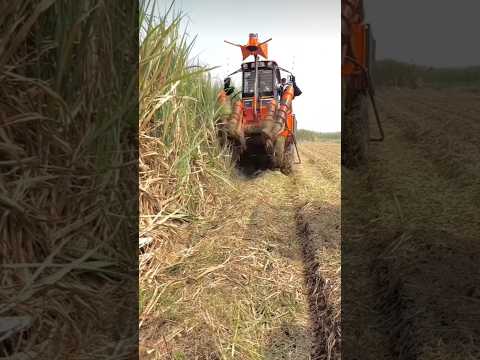 Shaktiman Sugarcane Harvester 2024 Performance