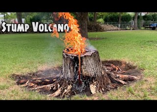 Stump Volcano Using Cooking Oil