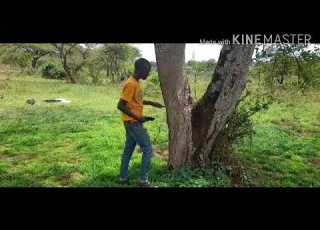 KARIBU NYUMBANI SUMBAWANGA