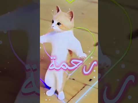 الاكتر طلبا رحمة رحمه المغرب اكسبلور العراق السعودية قطر الامارات الكويت البحرين ترند الجزائر الاكتر طلبا رحمة رحمه المغرب اكسبلور العراق السعودية قطر الامارات الكويت البحرين ترند الجزائر