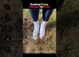 Ranking Funny Chicken On Tree Pt 1