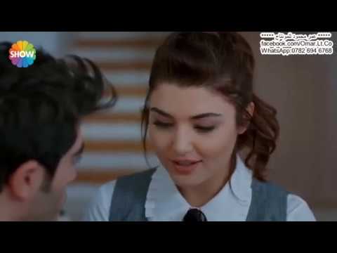 اغنية لو كلب ثاني مراد وحياة قلب ثاني سيف نبيل بجودة Full HD