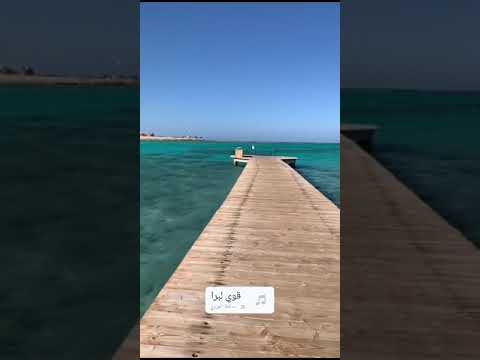 حافظ العروي قوي لبرا توزيع الموسيقار محمد جابر