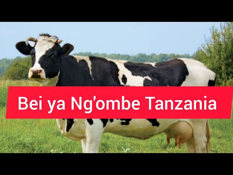 Bei Ya Ng Ombe Tanzania 2025 2026