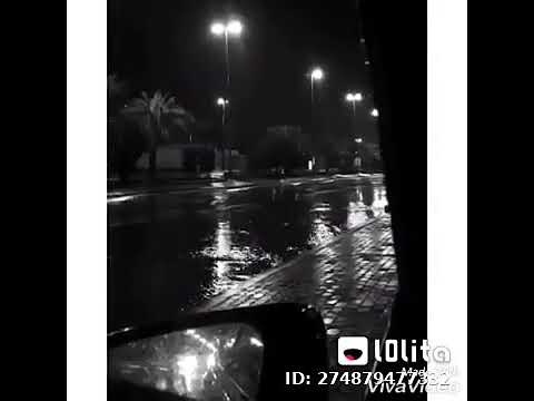 حالات واتس راجع بتقولي ايه الي مبينا عمرو دياب