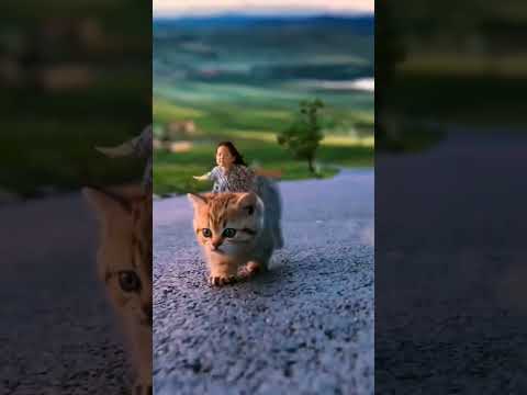 قطتي الصغيره واسمها نميرة