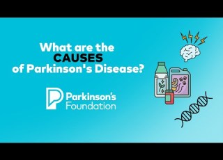  What Are The Causes Of Parkinson S Disease