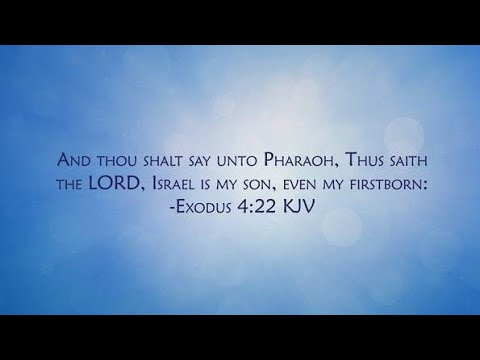 Why Is Isarel Called The Firstborn Son Of God What Does It Mean Exodus 4 22 Sam Shamoun