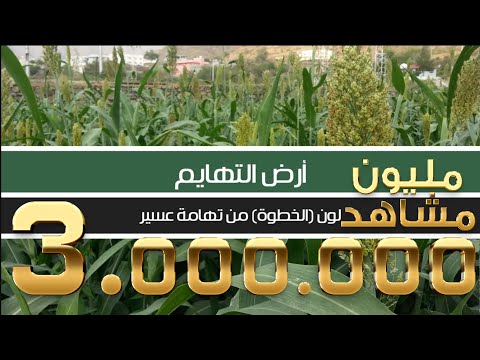 ارض التهايم لون الخطوة من تهامة عسير ارض التهايم لون الخطوة من تهامة عسير