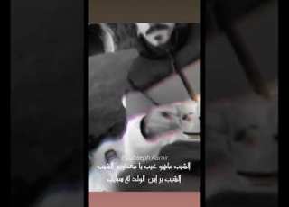  حالات واتس اب الشيب ماهو شيب يامعذرب الشيب ابو خط2022 جديد أبو خط