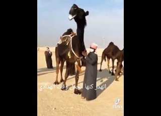 اتهدر كنها الجمل وقت الهدادي