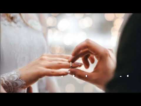 احمد سعد وهاني شاكر يابخته اللي احنا من بخته