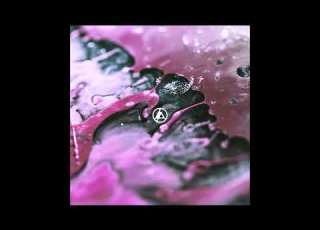 Linkin Park Over Each Other Official Audio