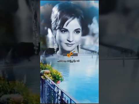 خايفه لما تسافر ع البلد الغريب شاديه خايفه لما تسافر ع البلد الغريب شاديه