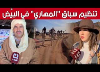 رياضة يعشقها الكبير والصغير تنظيم سباق المهاري بالبيض حفاظا على الموروث الثقافي وإمتاع للجماهير