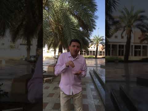 القرآن والصحة ٢ وزاده بسطة في العلم والجسم