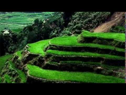 موسيقى اجنبية من عالم آخر