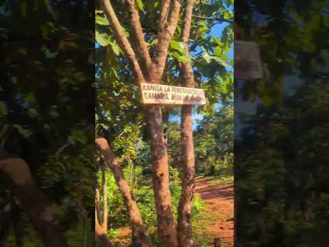 NYAMABHUYE AREA Near KASULU TOWN Tanzania Kigoma Kasulu