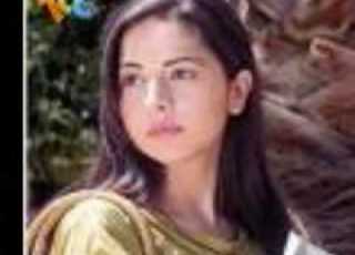 Taj Haider 123