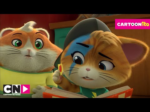 لامبو وميلادي يبحثان عن المكون السري فقرة كارتونيتو