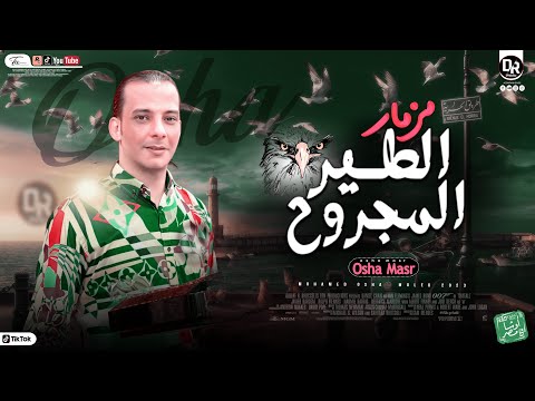 الطير المجروح السلام ده جامد اووي اووي حاجه كده هتتسلطن وتتحط وانت بتسمعها في روقاان ٢٠٢٣