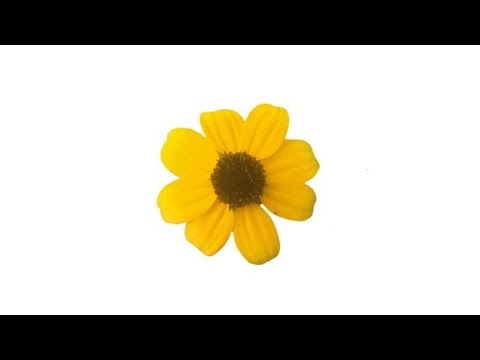 G Eazy Halsey Him I Acapella مترجمة بدون موسيقى G Eazy Halsey Him I Acapella مترجمة بدون موسيقى