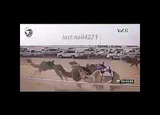 الحويطات الاشراف 1