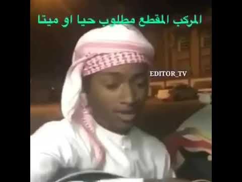 اللي مركب الفيديو مطلوب حيا او ميتا ههههه