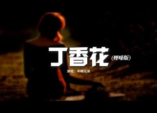 半噸兄弟 丁香花 煙嗓版 那墳前開滿鮮花 是你多麼渴望的美啊 你看那滿山遍野 你還覺得孤單嗎 動態歌詞MV