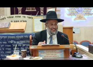 חידושים נפלאים על אתונו של בלעם פרשת בלק הרב איתי בן אהרון