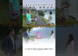  어쩌면 나는 현빈보다 행복한 사람 죄송합니다 현빈 사랑의불시착 유럽여행 추천