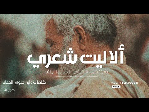 ألا ليت شعري والفؤاد به ثأر ابن علوي الحداد قصيدة قوية