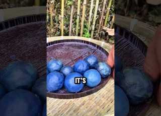  Why Lapis Lazuli Was Worth More Than Gold