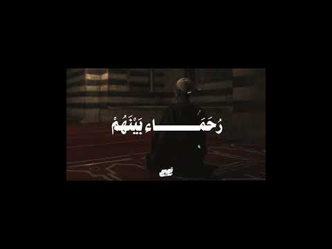 محمد رسول الله والذين معه أشداء على الكفار رحماء سورة الفتح محمد رسول الله والذين معه أشداء على الكفار رحماء سورة الفتح