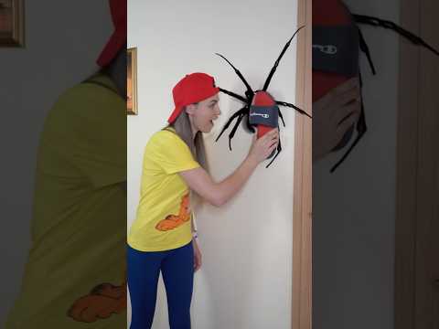 يا إلهي عنكبوت عملاق في غرفتي