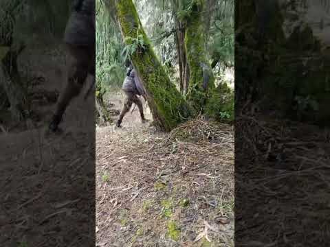 Waan Ati Obsitee Mataakee Gadi Qabattee Kaayyokee Milkeessuf Ta A Subscribe Naaf Goodha Waan Ati Obsitee Mataakee Gadi Qabattee Kaayyokee Milkeessuf Ta A Subscribe Naaf Goodha