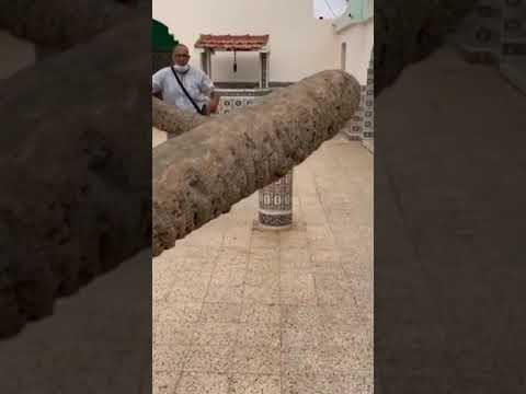 نخلة عجيبة سبحان الله