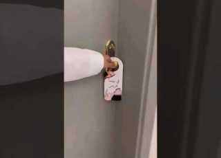 توديع ايام العزوبيه مجانيه في بيتنا عريس