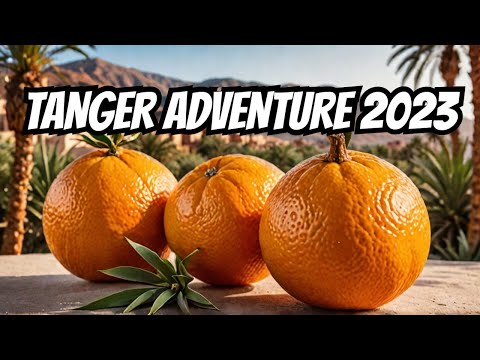 Tanger Wie Du Es Noch Nie Gesehen Hast Marokko Reisebericht