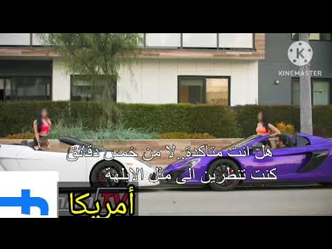 كلبة المال أمريكا مترجم مقالب رايع يستهل المشاهدة