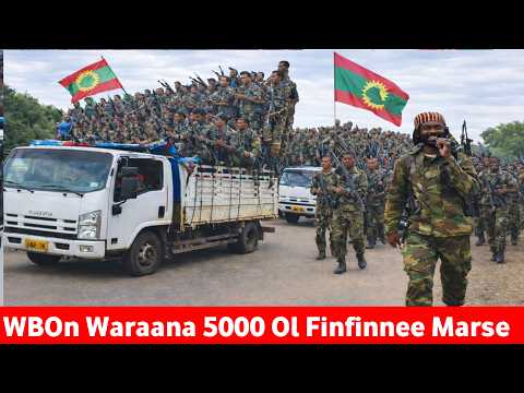 ODUU Bitootessa 21 2026 Waraanni Bilisummaa Oromoo Tarkaanfii Cimaa Gabaasa Addaa OOlmaa Oromiyaa